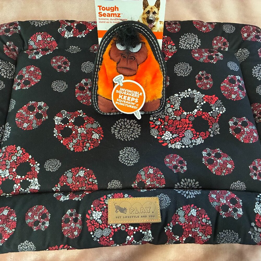 Pet Play Dog Bed (small) and New Toy